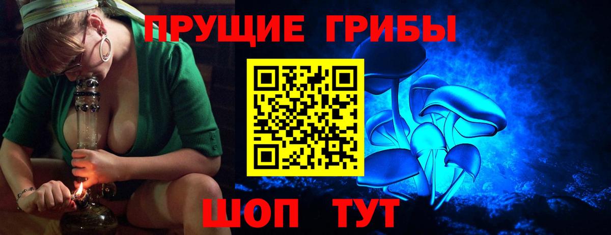 Краснознаменск  Галлюциногенные грибы Cubensis  цена наркотик  Вход с VPN 